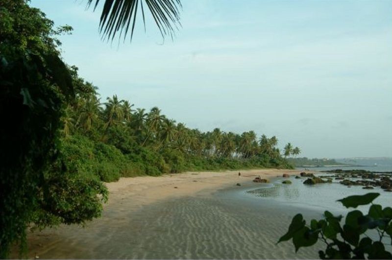 Bambolim Beach Resort Extérieur photo
